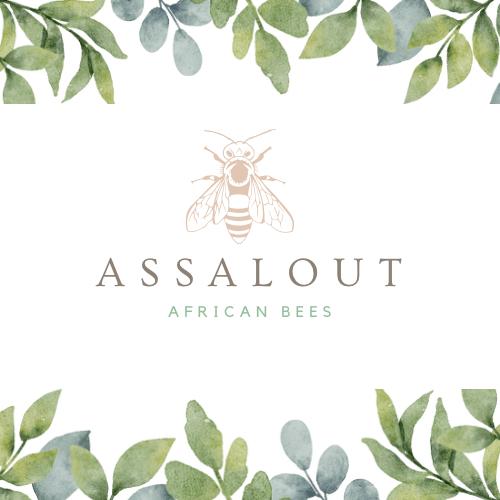 Logo Assaloute